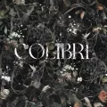 Обои Colibri Обои Colibri | Дом Декора
