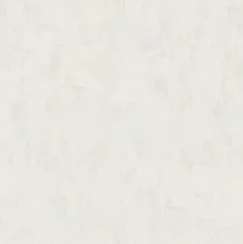 K1001C