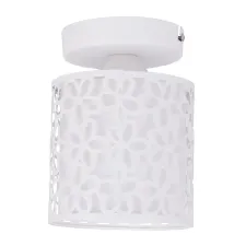 Потолочный светильник Arte Lamp TRAFORATO A8349PL-1WH