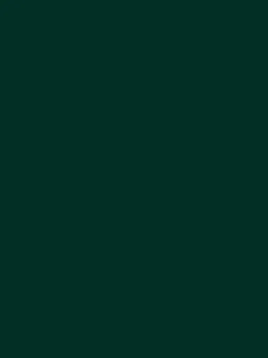 AM7 015-2