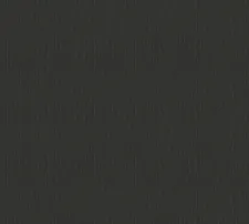 343273