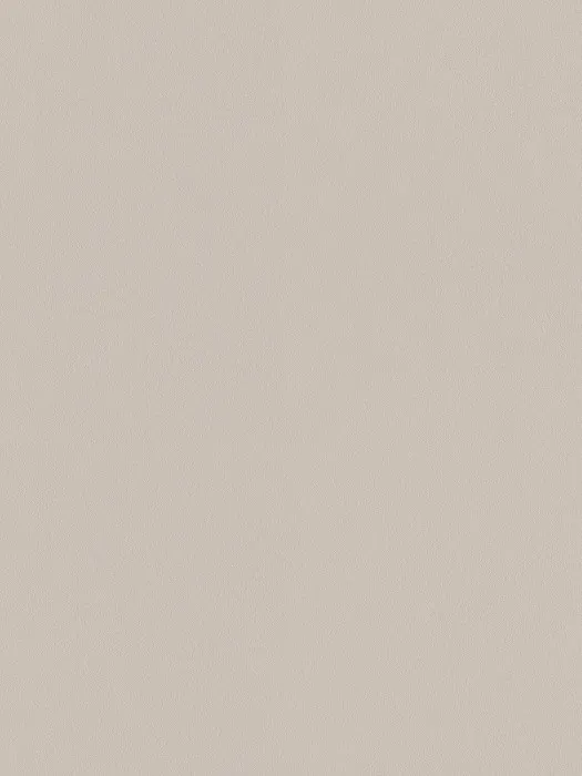A100206