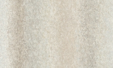 A55207