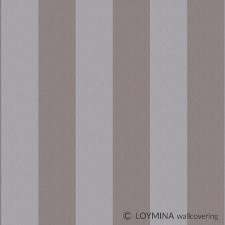 R4 008