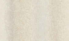 A55208