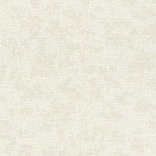 653854